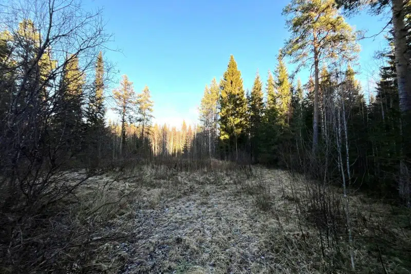 Land / plot in Boden