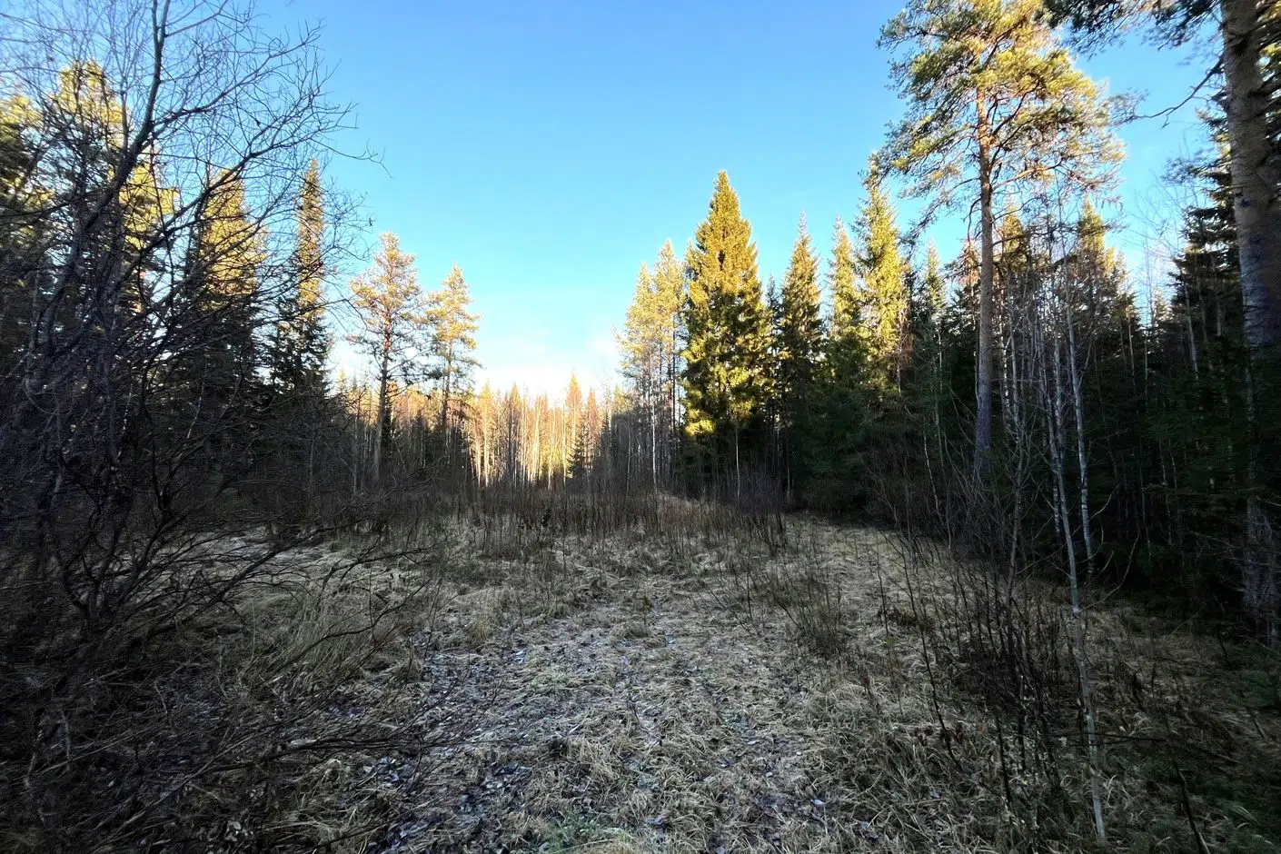 Bild 1 av 10 på Brännberg