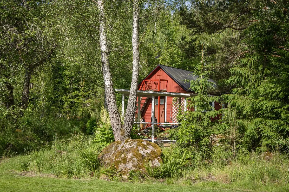 Image 1 of 19 of Äfsinge
