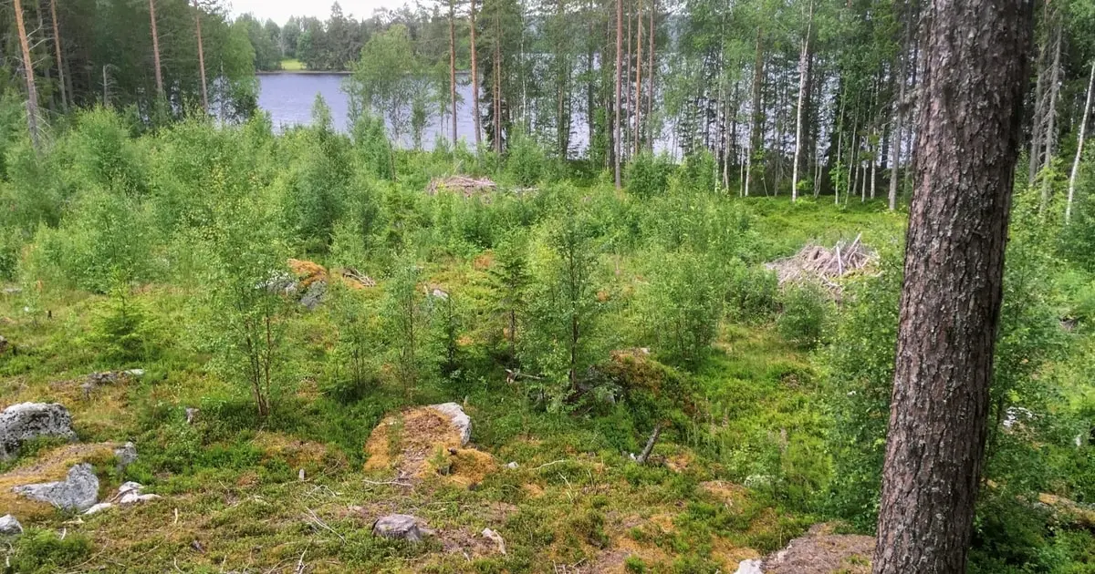 Bild 1 av 5 på Landön