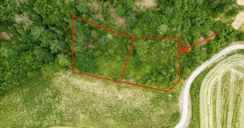 Land / plot in Ale