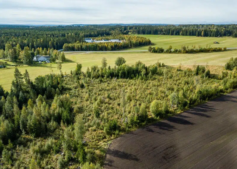Land / plot, 3911 m² in Berg
