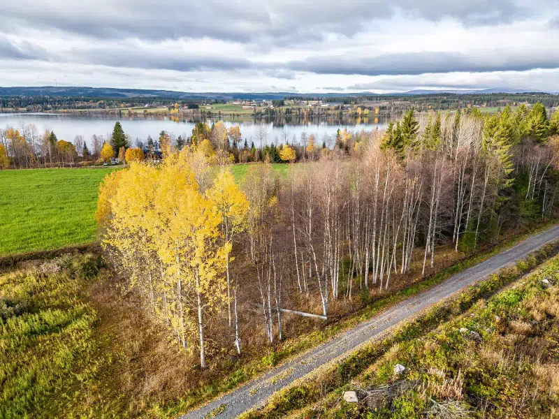 Land / plot, 1260 m² in Berg