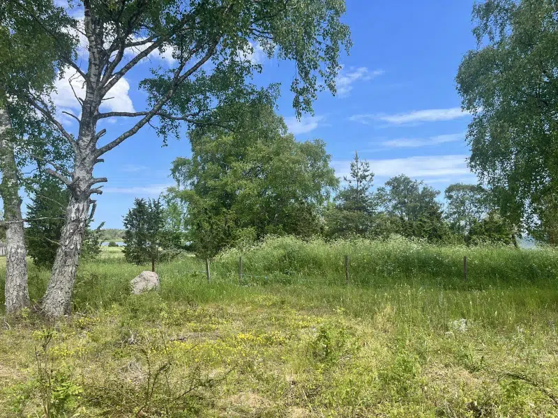 Land / plot, 1768 m² in Gotland