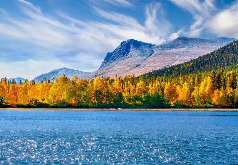 Tomt / mark, 1366 m² i Jokkmokk