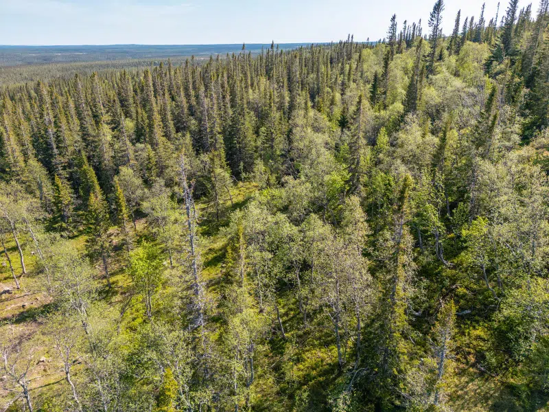 Land / plot, 2030 m² in Berg