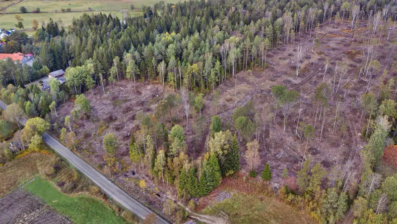 Land / plot, 2000 m² in Ale