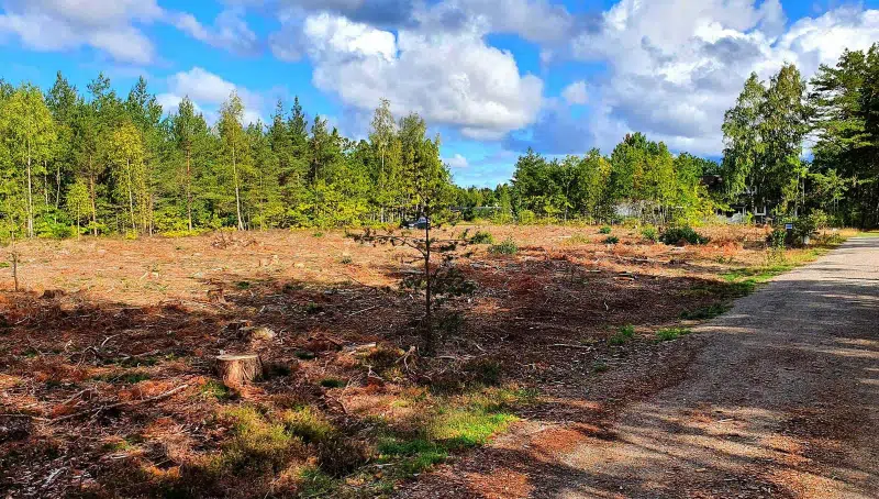 Land / plot, 901 m² in Borgholm