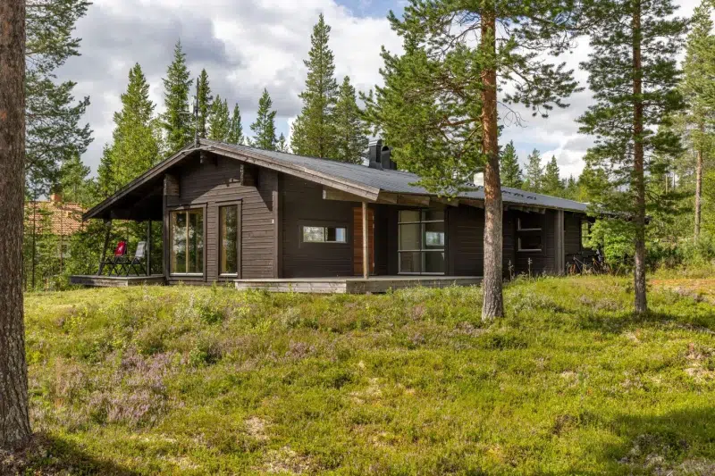 Holiday home, 4 rooms, 115 m² in Lofsdalen