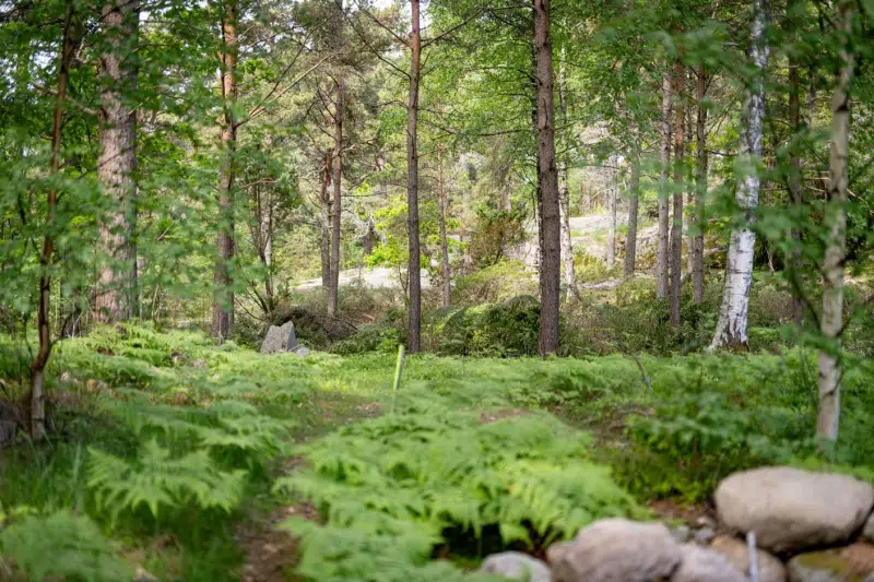 Tomt / mark i Tanumshede