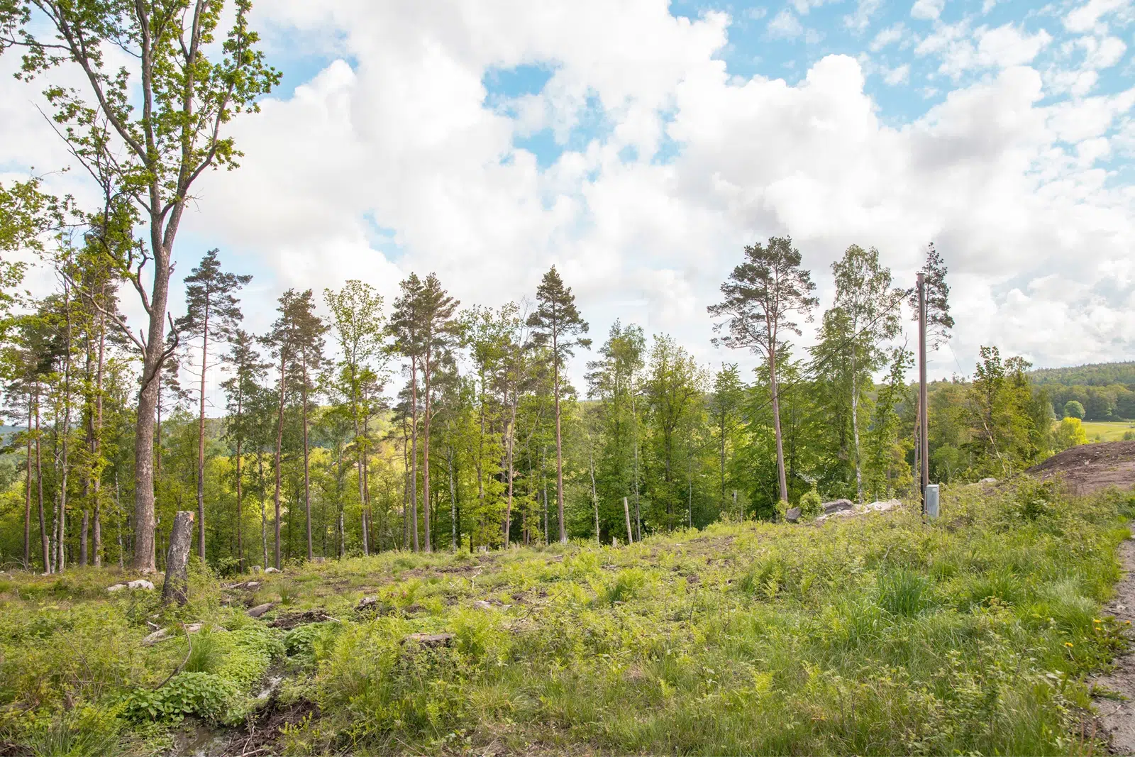 Bild 1 av 14 på Albert Ribbas väg 7B