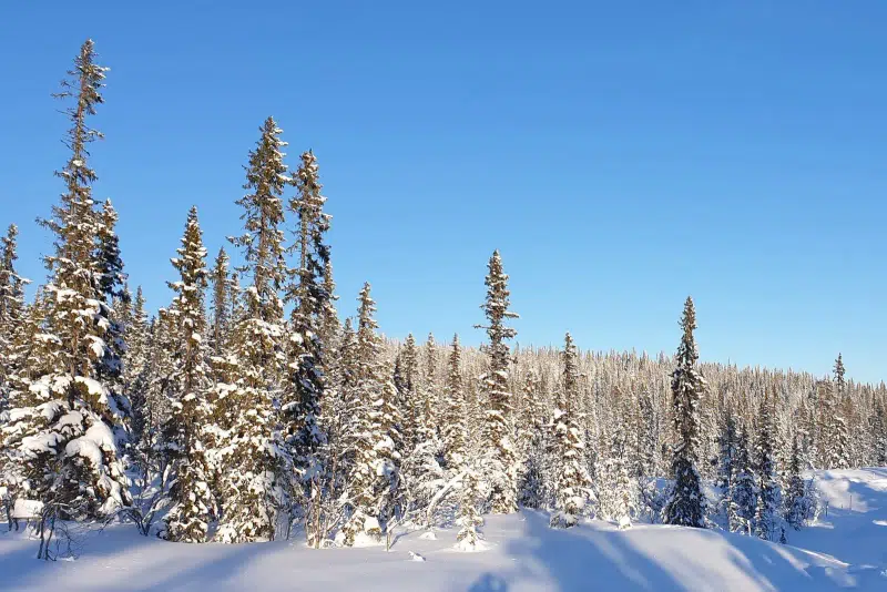 Land / plot, 1093 m² in Vemdalen