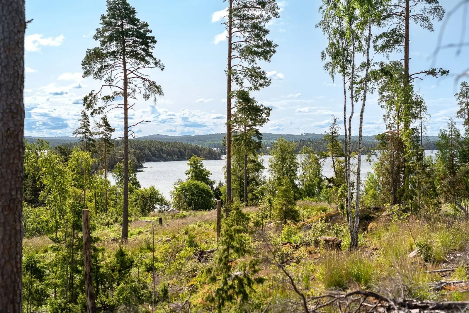 Bild 1 av 18 på BOXHOLM LANDSNÄS 1:33