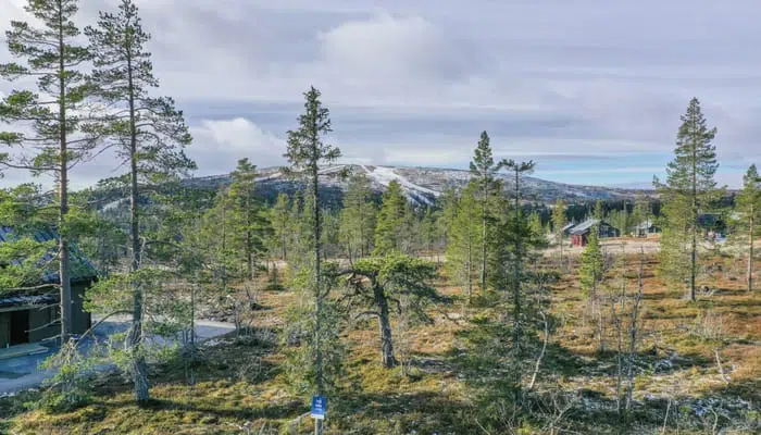 Bild 1 av 14 på Blåbärsstigen