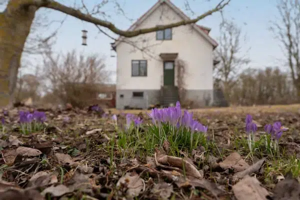 Villa, 4 rum, 95 m² i Havdhem