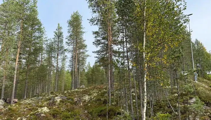 Land / plot, 462 m² in Idre