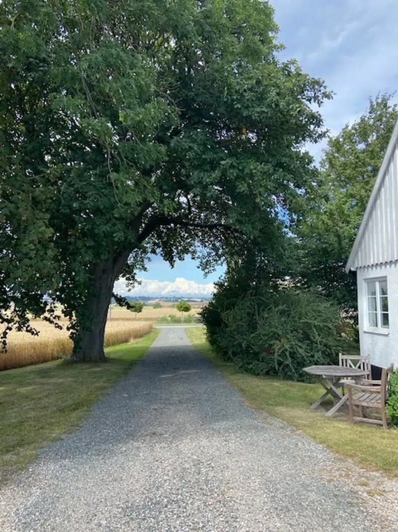House, 5 rooms, 165 m² in Simrishamn