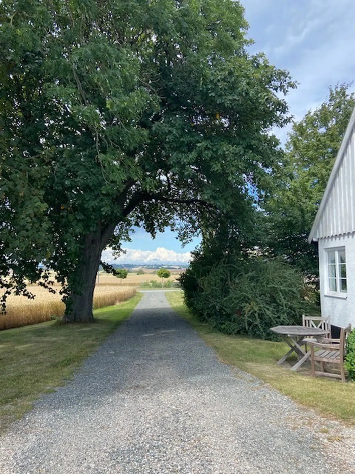Bild 1 av 37 på Viarpsvägen 49