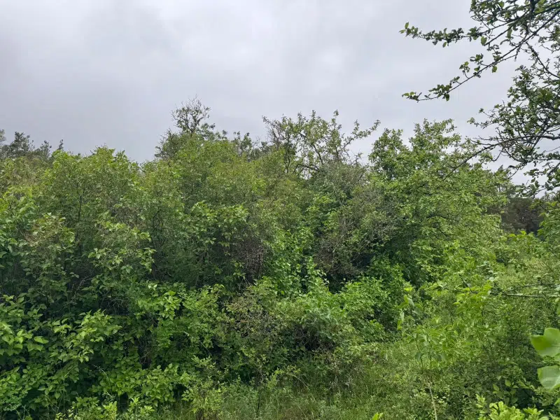 Land / plot in Gotland