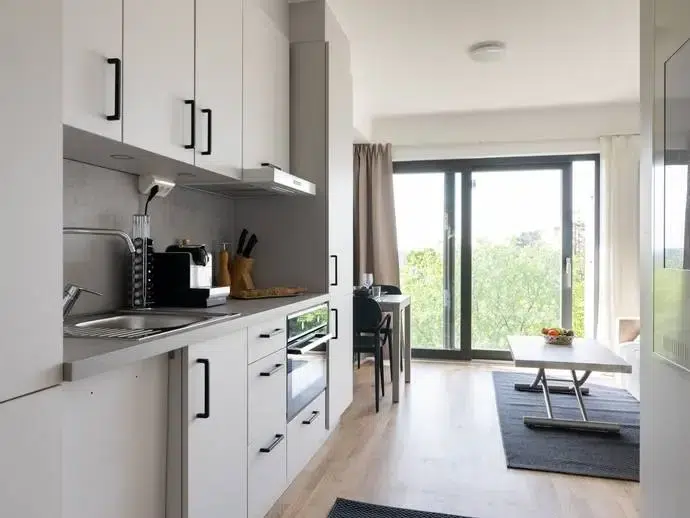 Apartment, 1 room, 21 m²