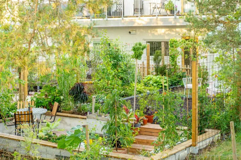 Apartment, 2 rooms, 35 m²