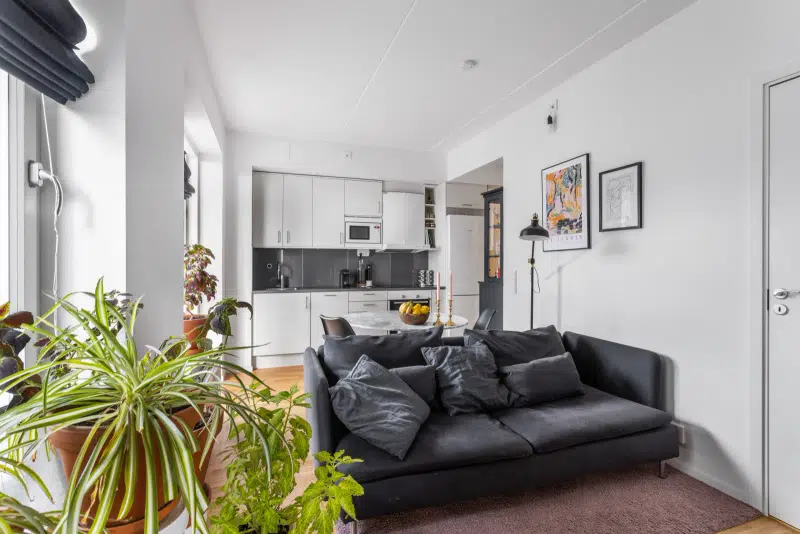 Apartment, 2 rooms, 36 m²