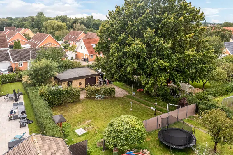 Land / plot