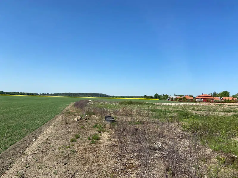 Land / plot