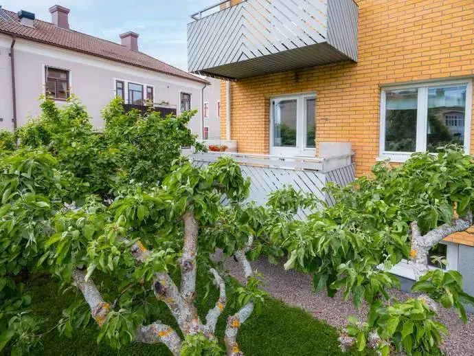 Apartment, 2 rooms, 54 m²