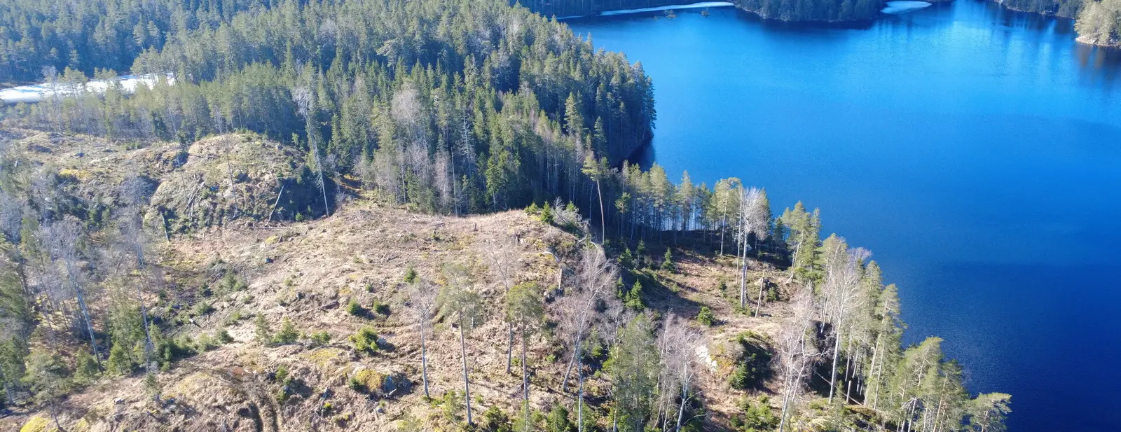 Bild 1 av 21 på Håltebyn