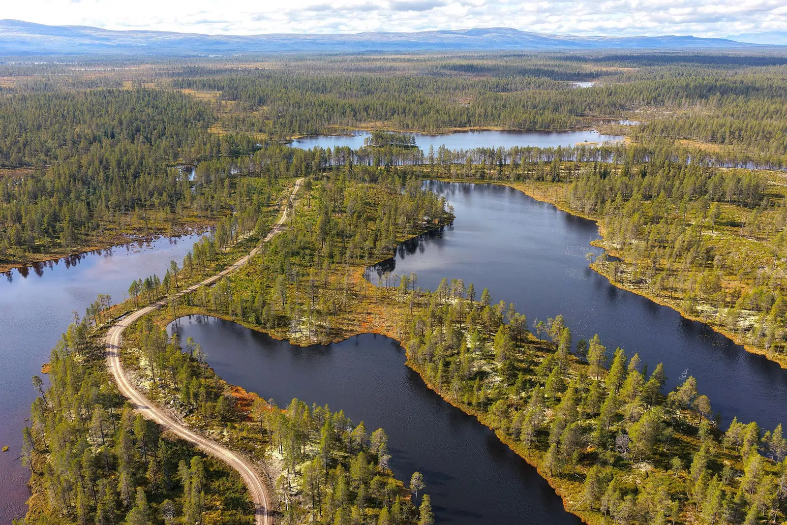 Bild 1 av 21 på Storbo 1:45