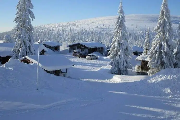 Bild 1 av 21 på Storfjällsbyn. Vecka 15 och 43. Hus 13H. SÄLEN
