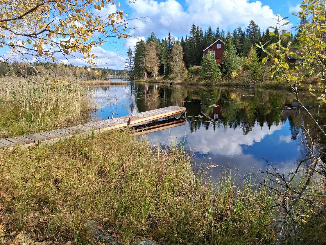 Image 1 of 10 of Storslätten