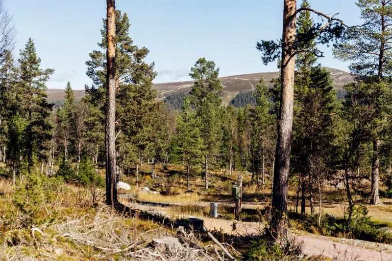 Land / plot in Älvdalen