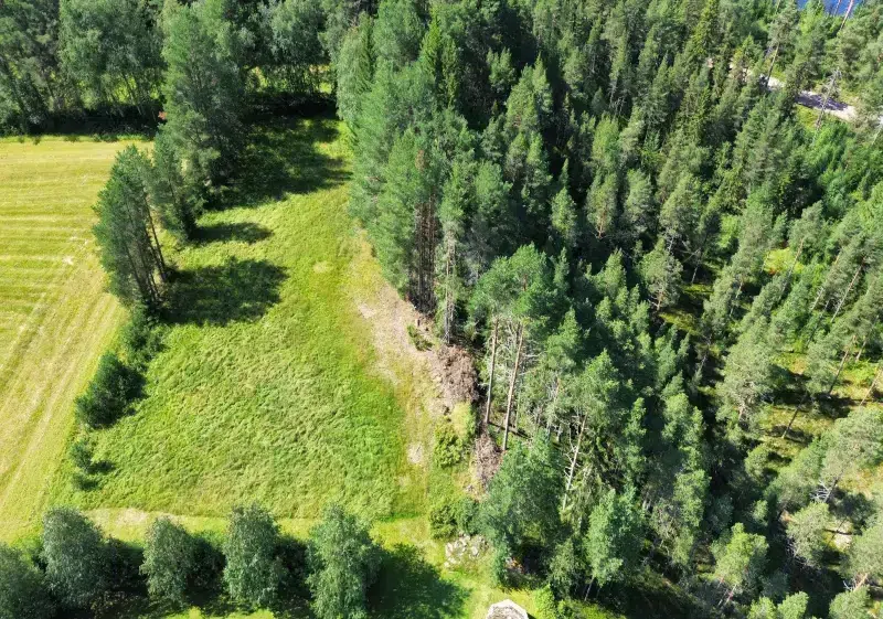 Land / plot
