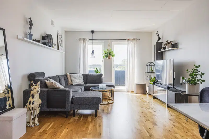 Apartment, 2 rooms, 55 m²