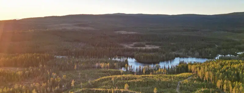 Lägenhet