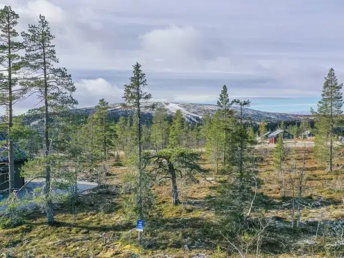 Land / plot