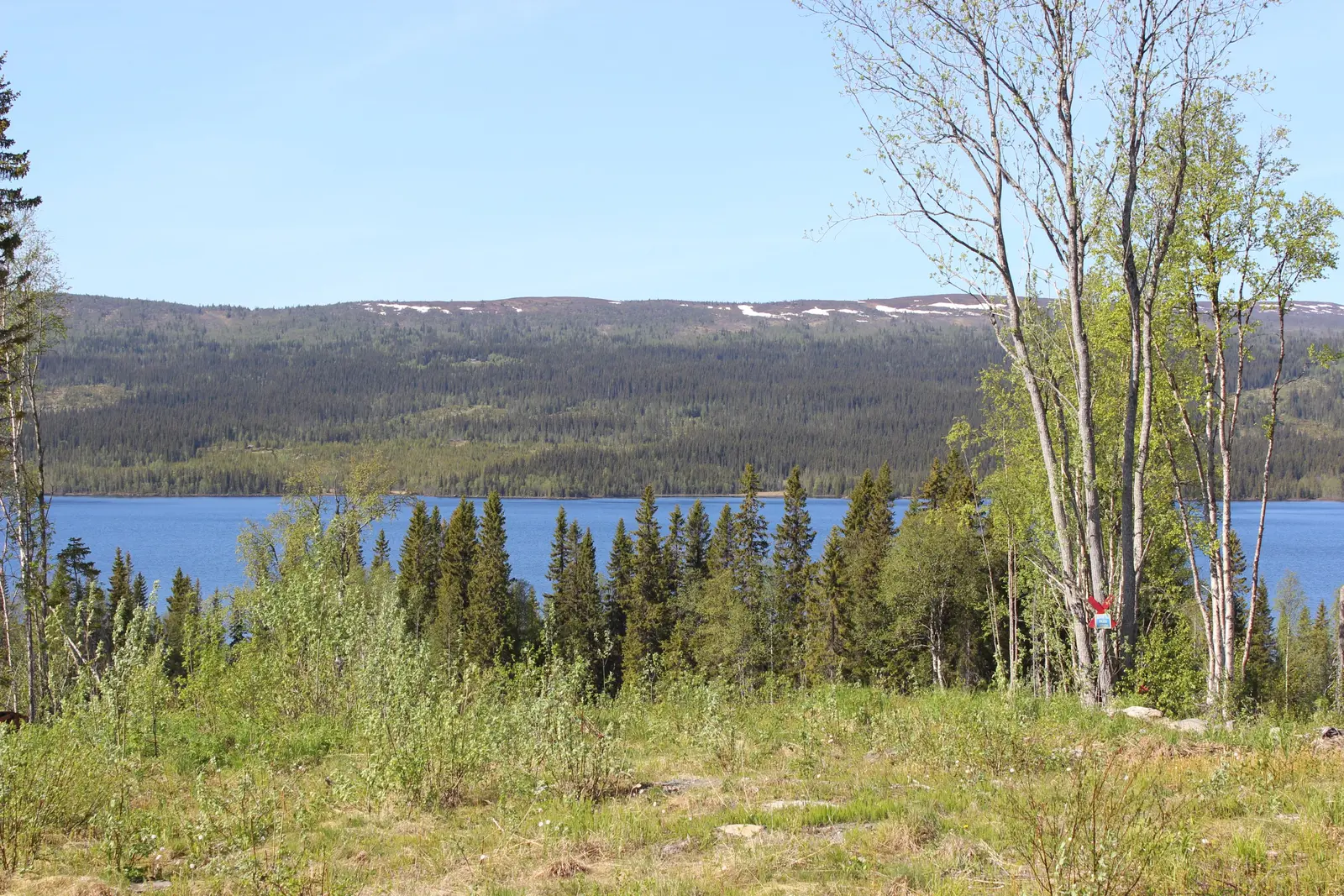 Bild 1 av 15 på Åkersjön 1702 (tomt 32)