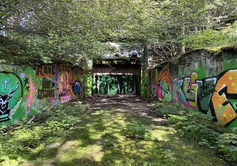Land / plot