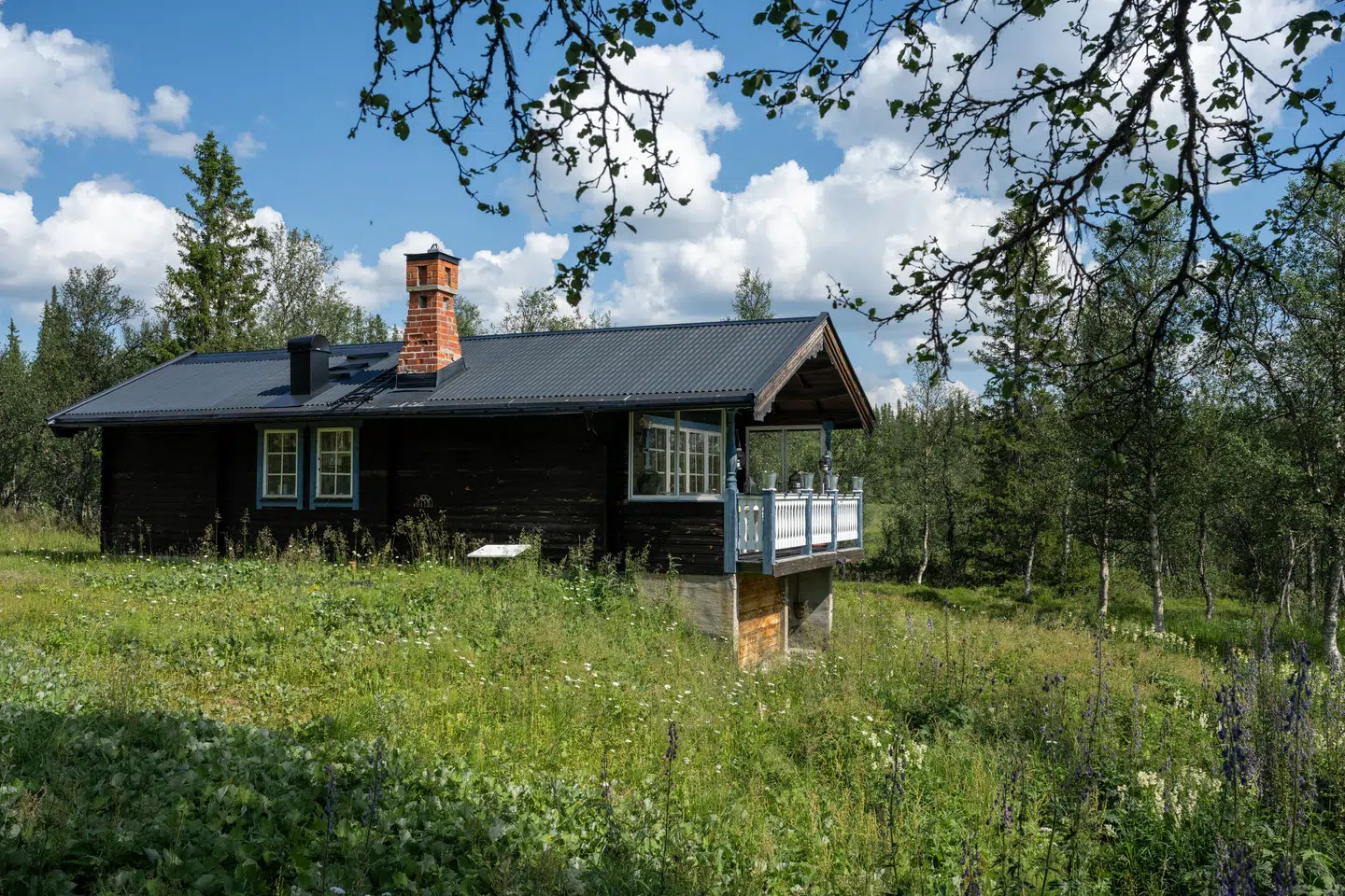 Bild 1 av 21 på Tjädern 1