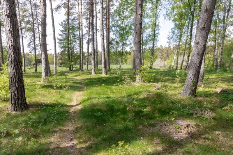 Land / plot