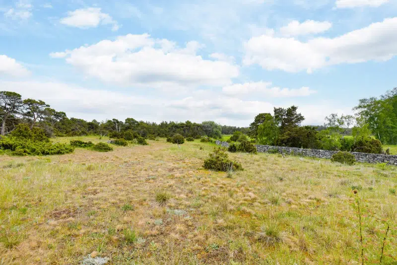 Land / plot