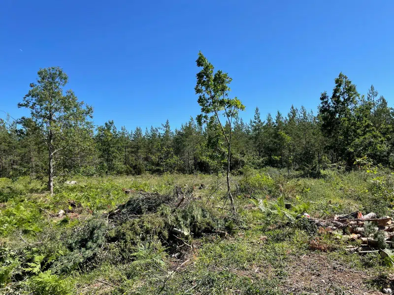 Land / plot