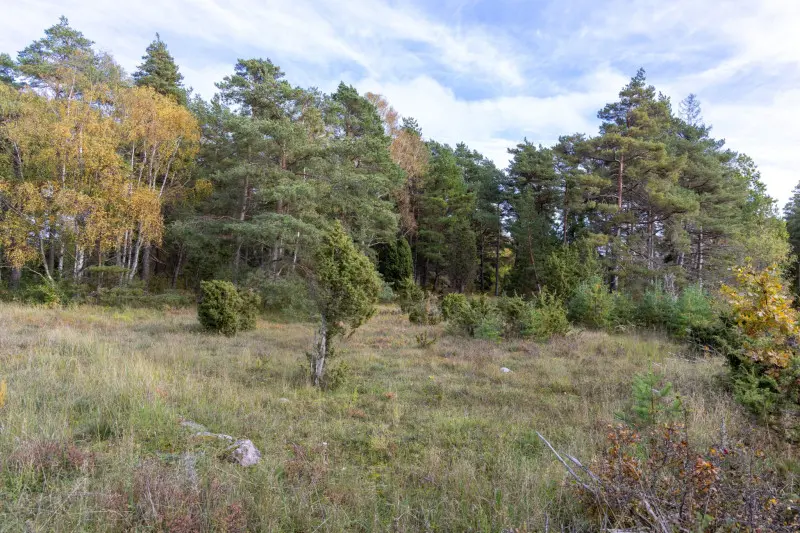 Bild 1 av 20 på Eksta Hägur