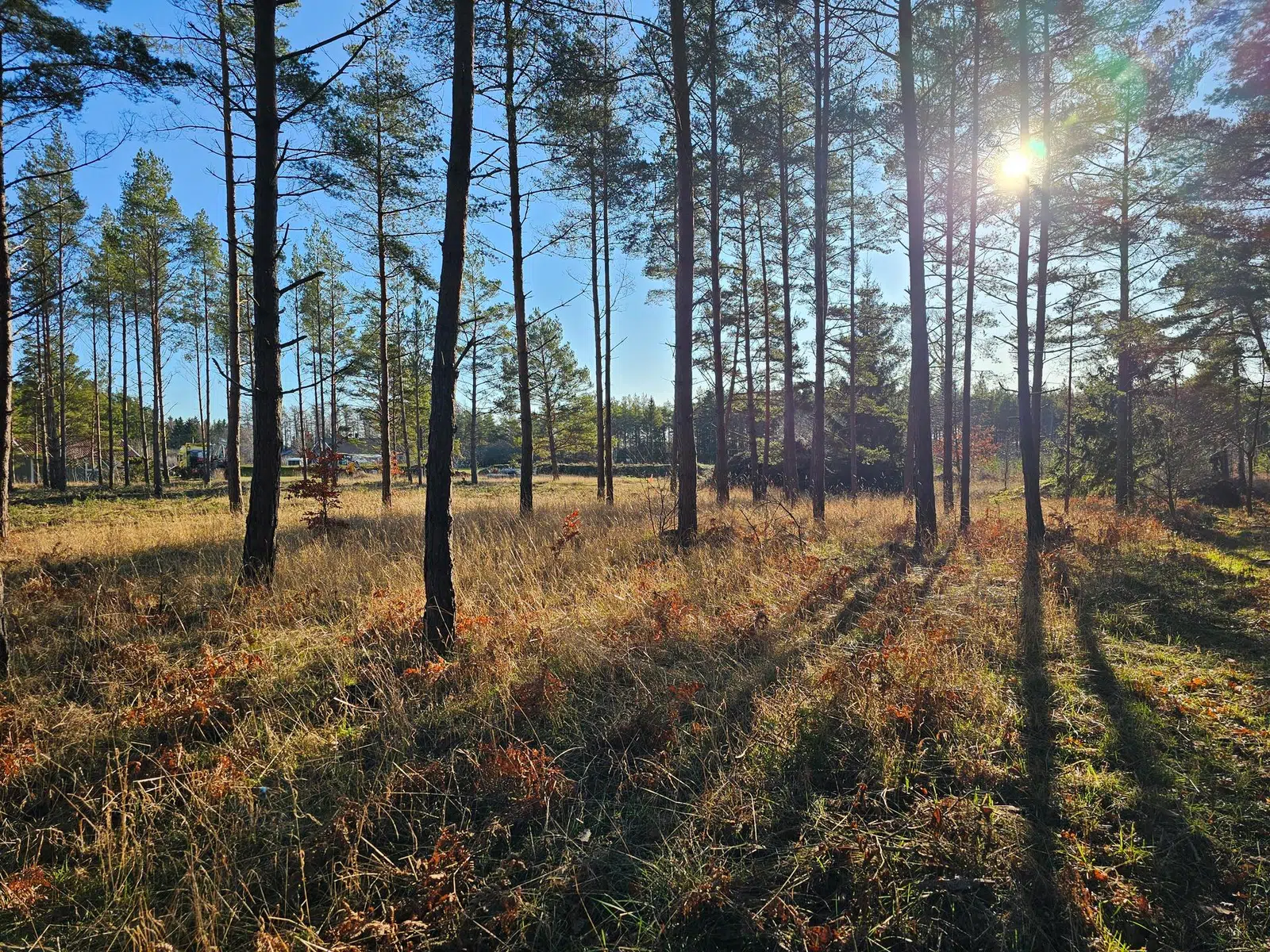 Bild 1 av 15 på Väskinde Dalaskog 235B