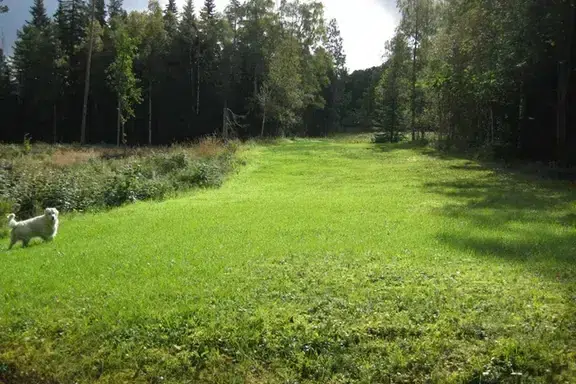 Apartment, 4 rooms, 85 m² in Mölndal