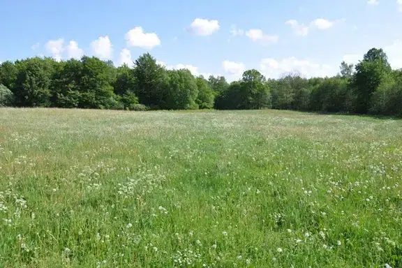 Image 1 of 21 of Veckovägen 10