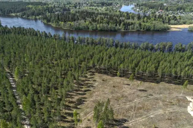 Land / plot, 1 m² in Skutskär