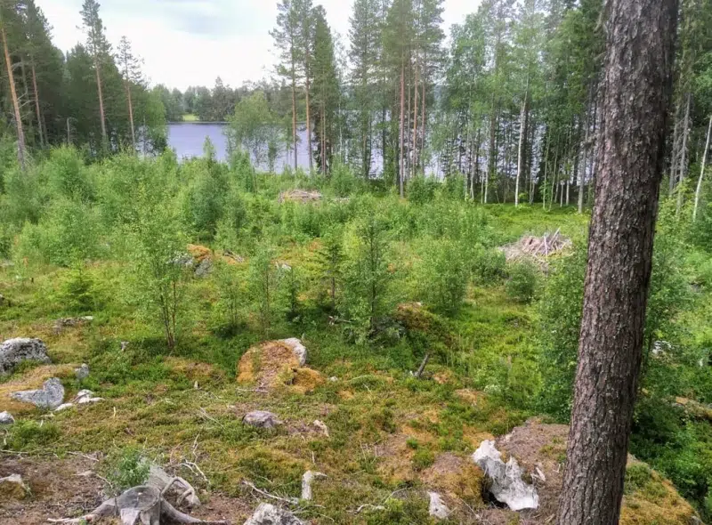 Tomt / mark i Krokom